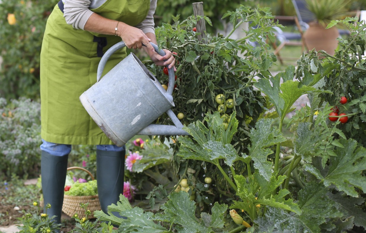 The kind of quality gardening gear Rab can only dream of.