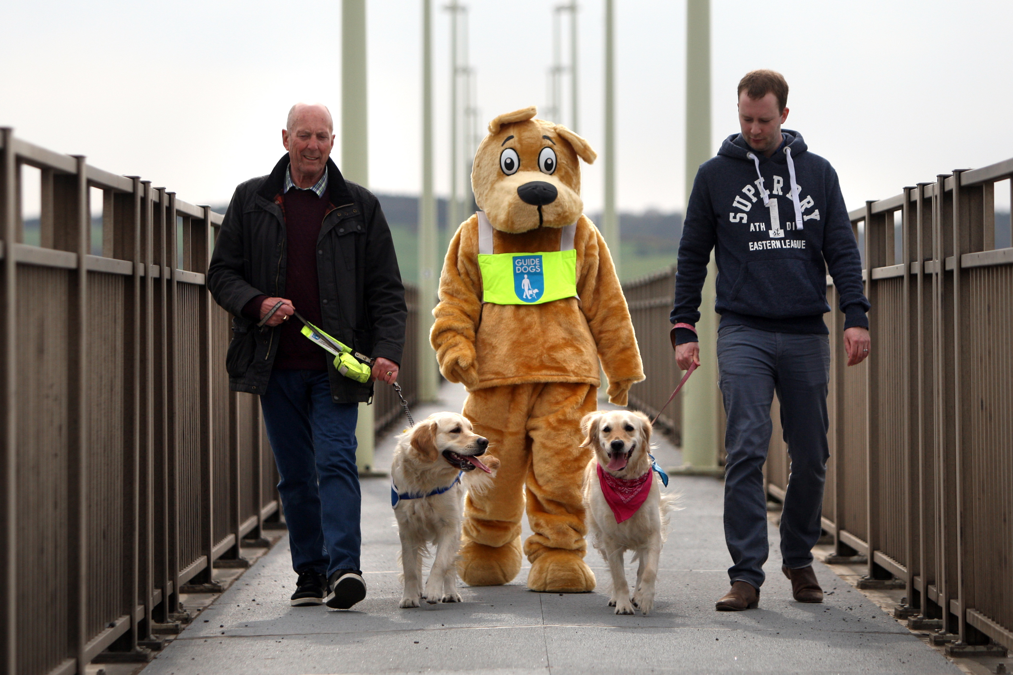 Guide Dogs mascot, Hero with Les Banks and Hesta and Alex Comrie and Mia.