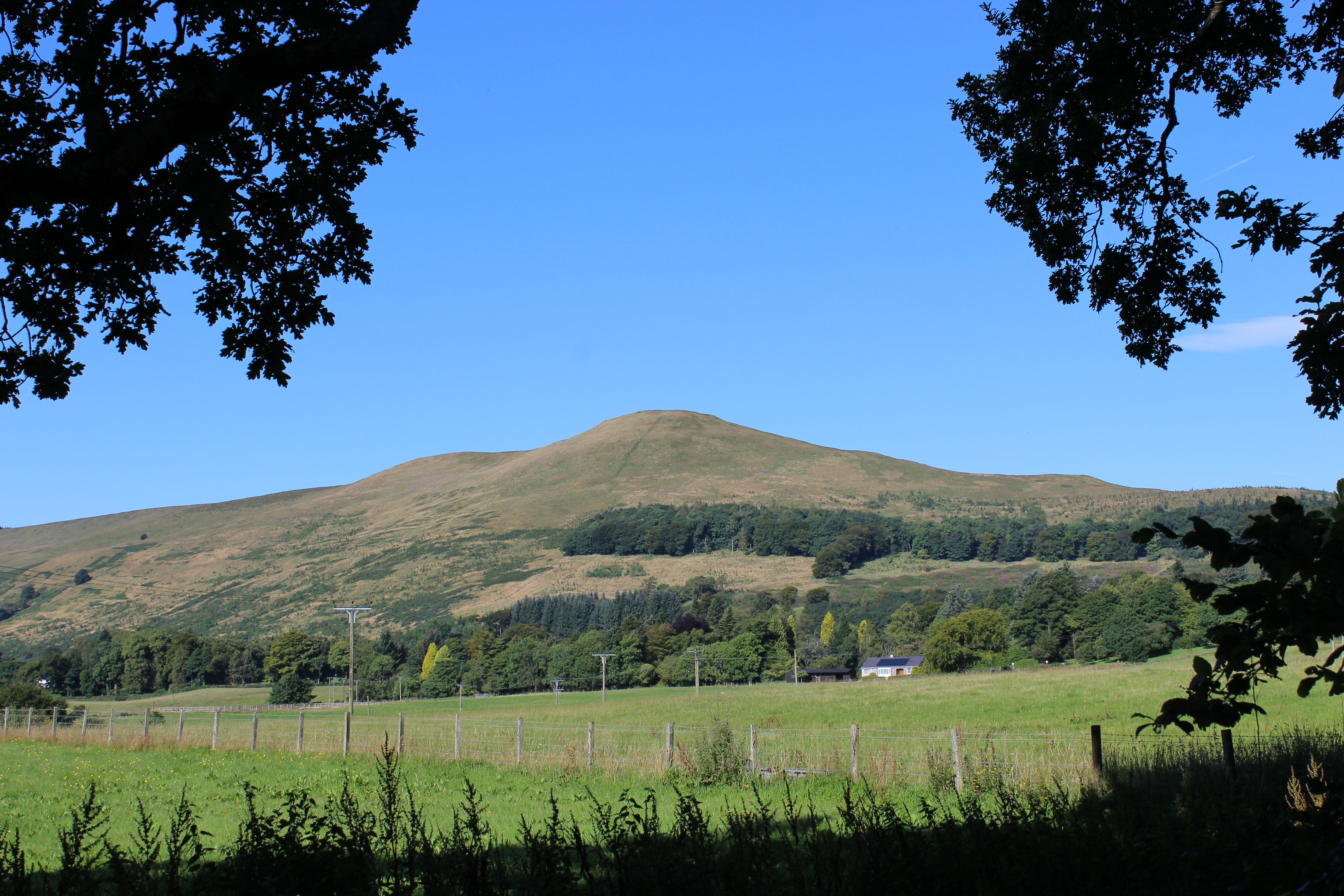 Seamab Hill from Glen Devon.
