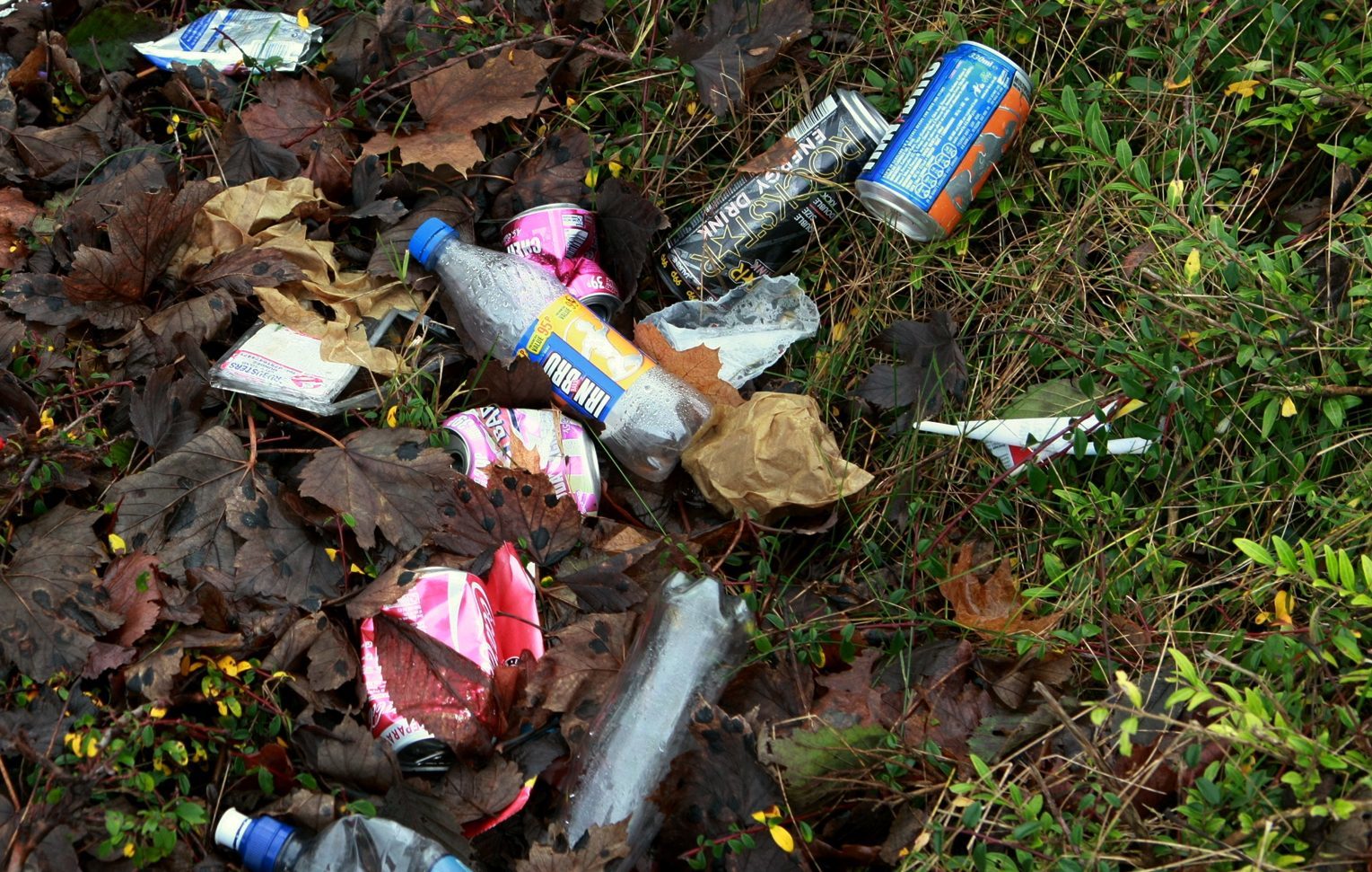 Litter is becoming a huge issue in Angus.