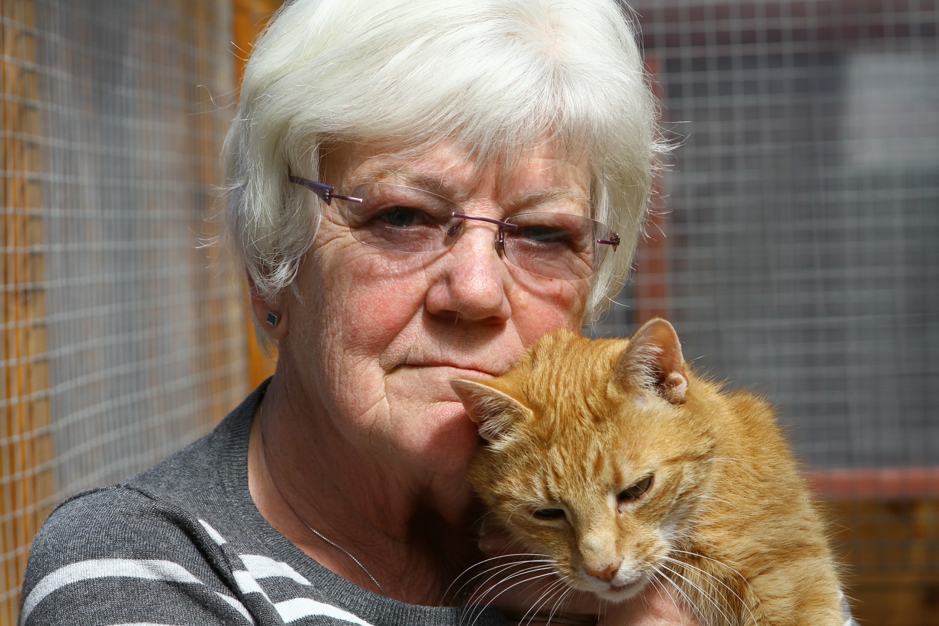 Co-Ordinator at the Cats Protection Adoption Centre Story  Irene Brown with one of the cats, Chui.