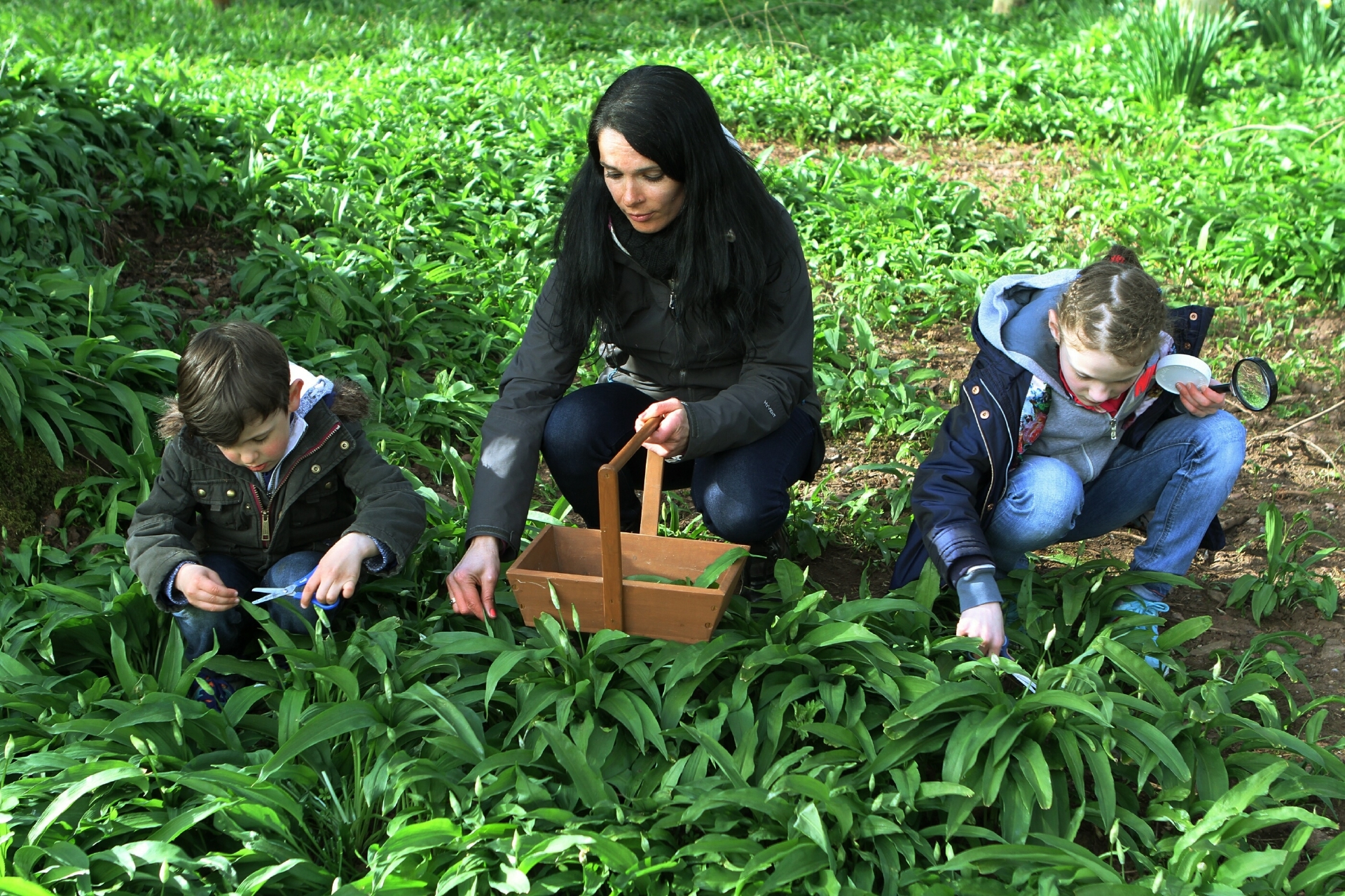 Gayle picking wild garlic with Robbie and Ellie Towns.