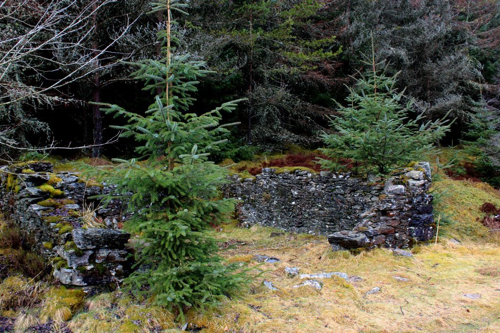 3. Ruin of former boathouse - James Carron