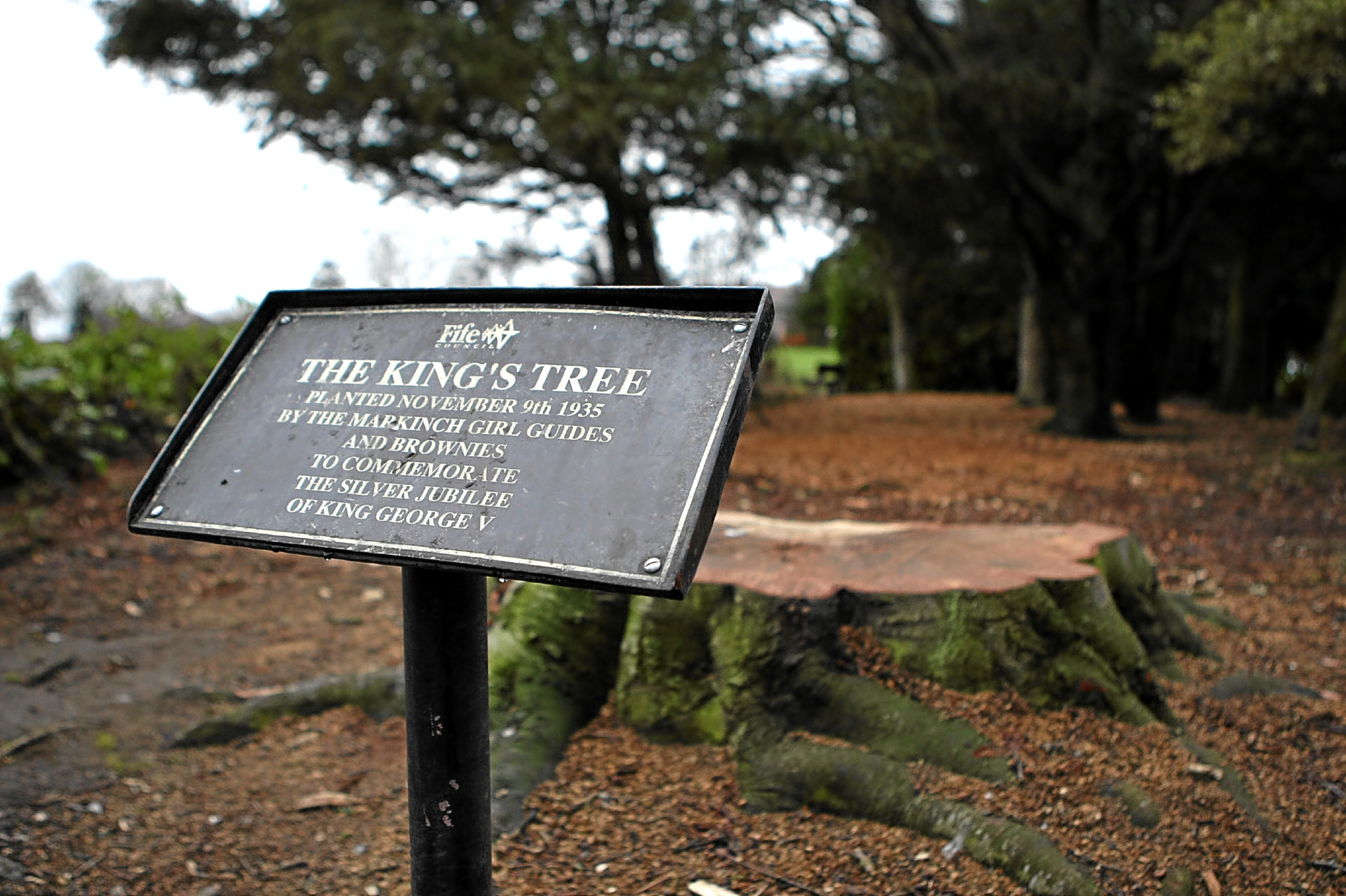 King's Tree stump and sign, Markinch.