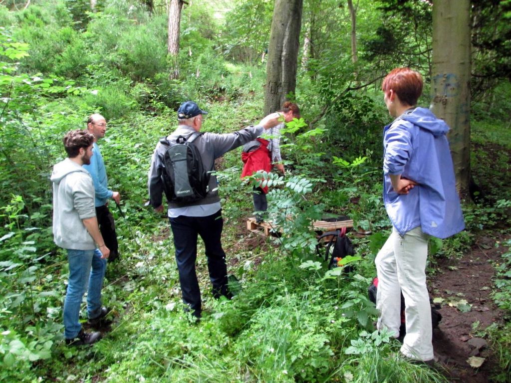 Members of Dighty Connect undertake a giant hogweed survey.