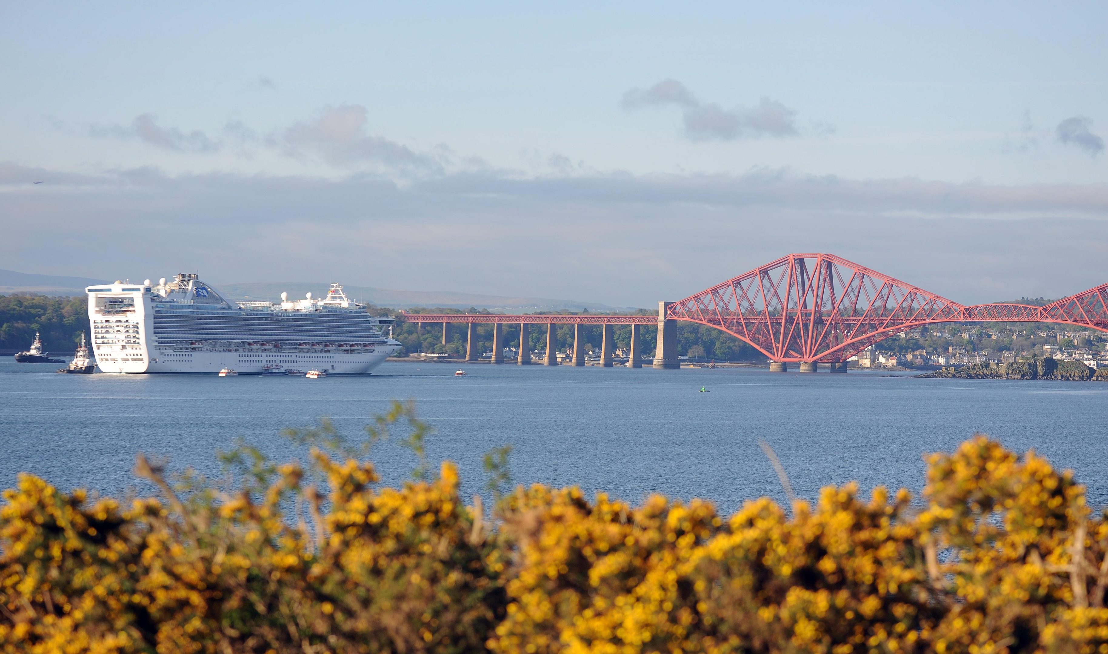 The sighting was made near in the Forth.
