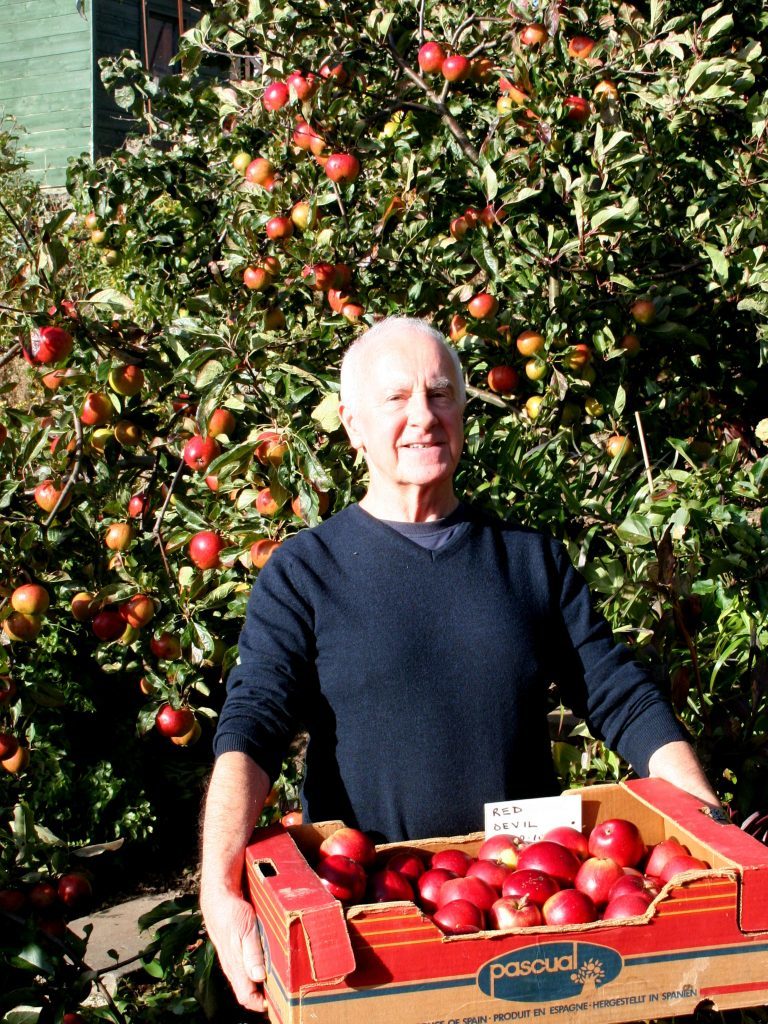 John Stoa harvesting his red devil apples