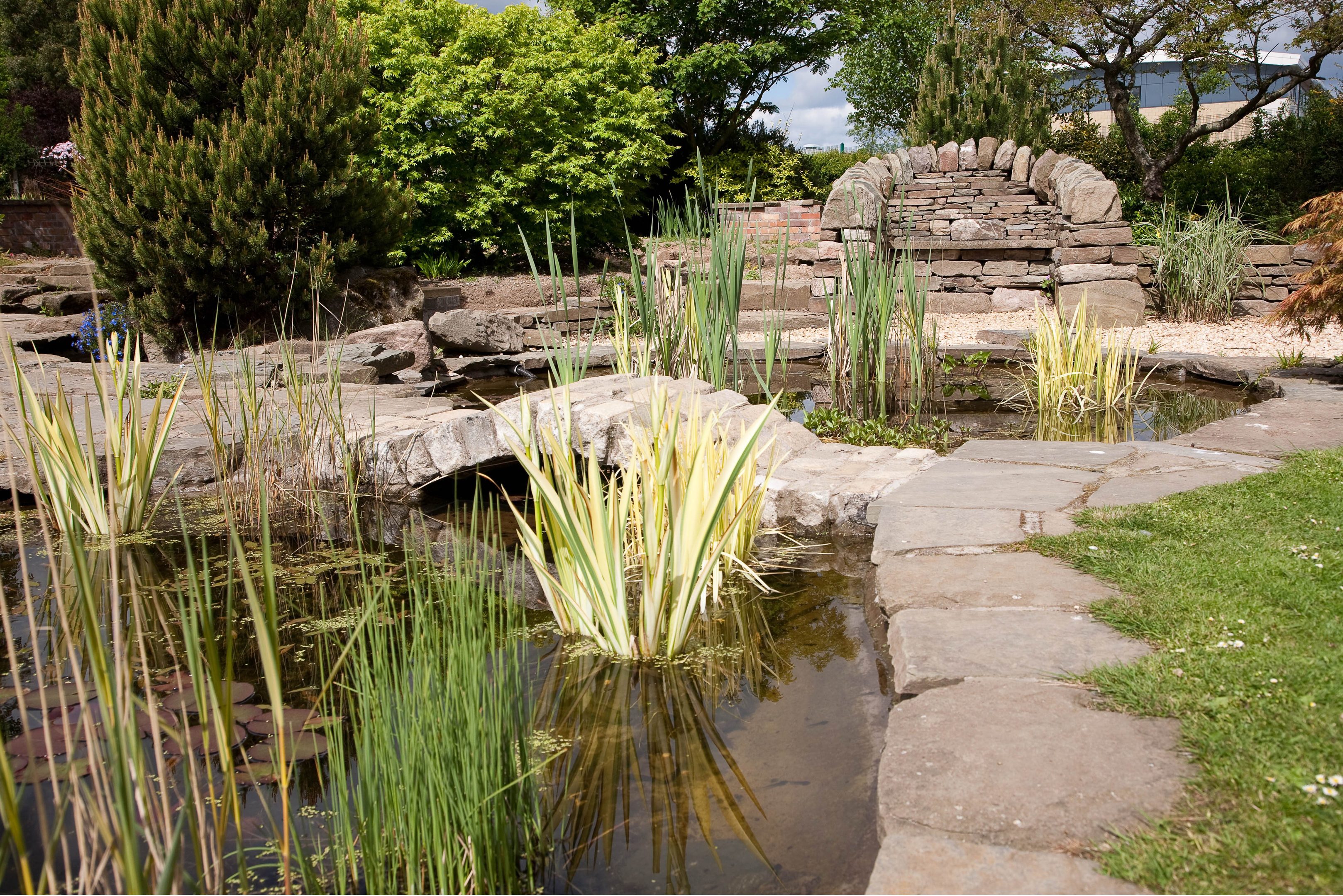 The gardens at the Kingsway campus