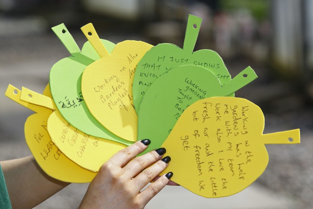 Messages for the "tree of hope" written by prisoners.