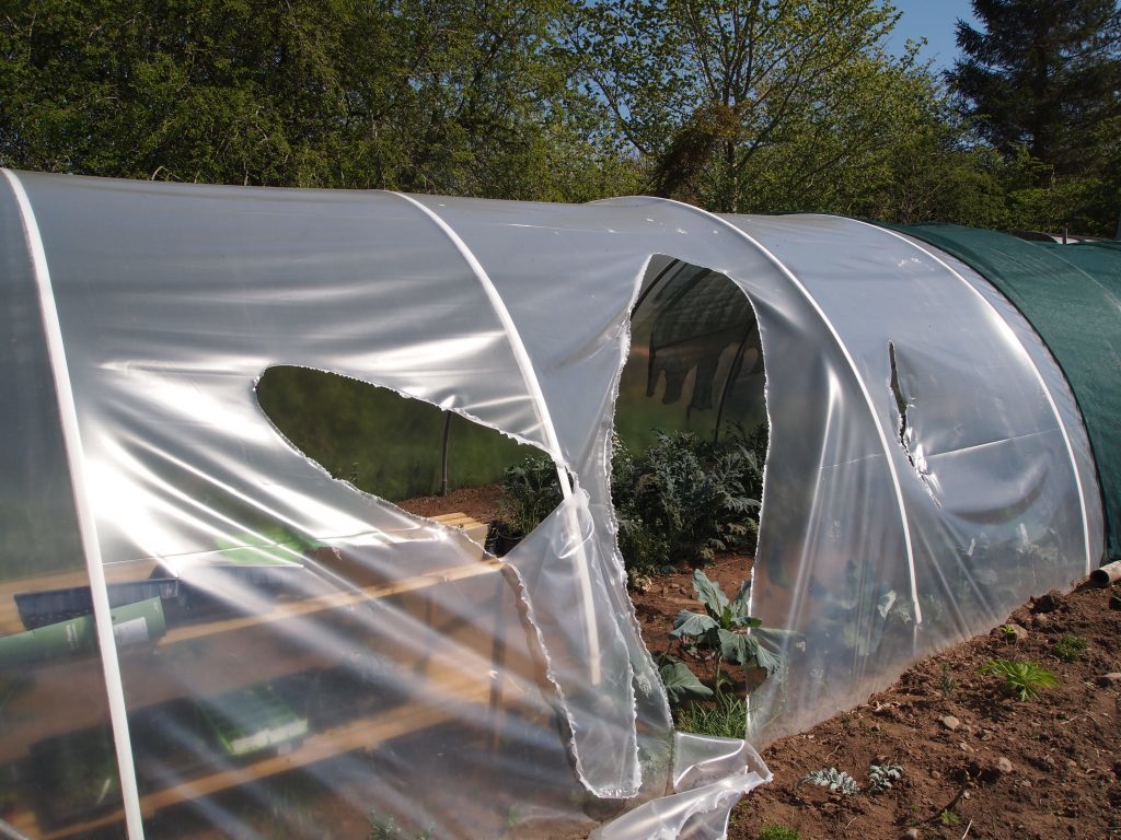 The ripped poly tunnel.