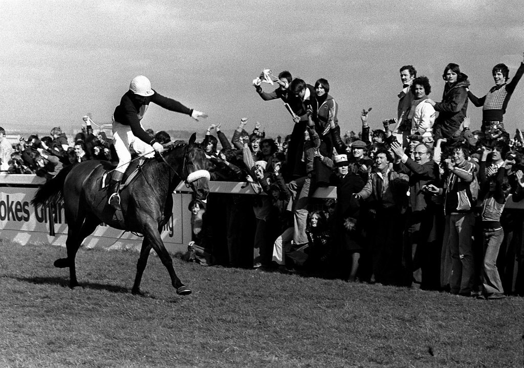 The crowd goes wild with joy as Red Rum, ridden by Tommy Stack,  romps home at Aintree to make National Hunt history as winner of the Grand National Steeplechase for a record third time.