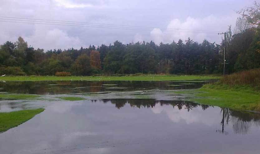 The university owned pond site at North Haugh which STEPAL believe was not adequately considered, but which pro-Pipeland Parent Voice campaigners said was prone to flooding