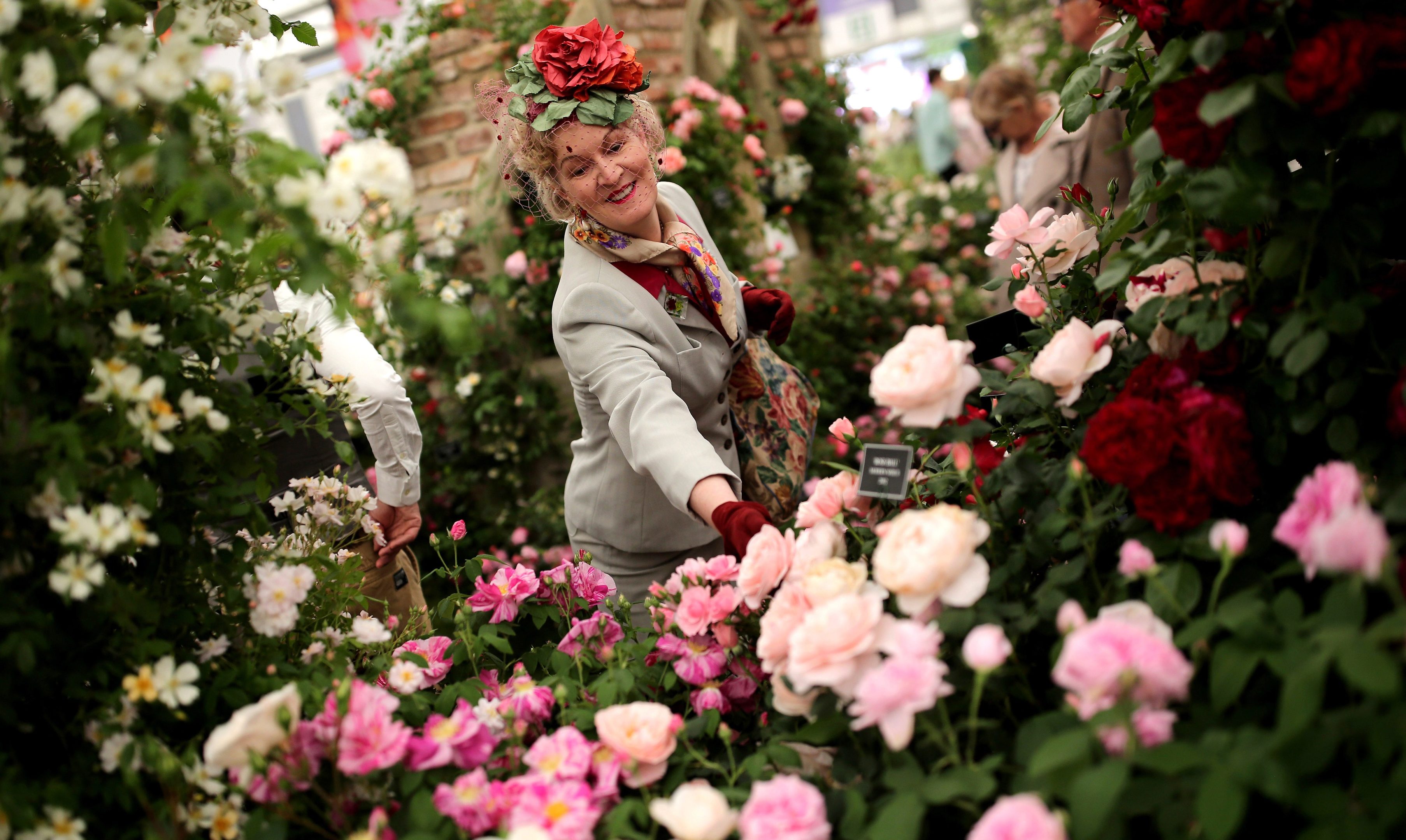 Members of the public enjoy the gardens at the 2016 Chelsea Flower Show at Royal Hospital Chelsea.