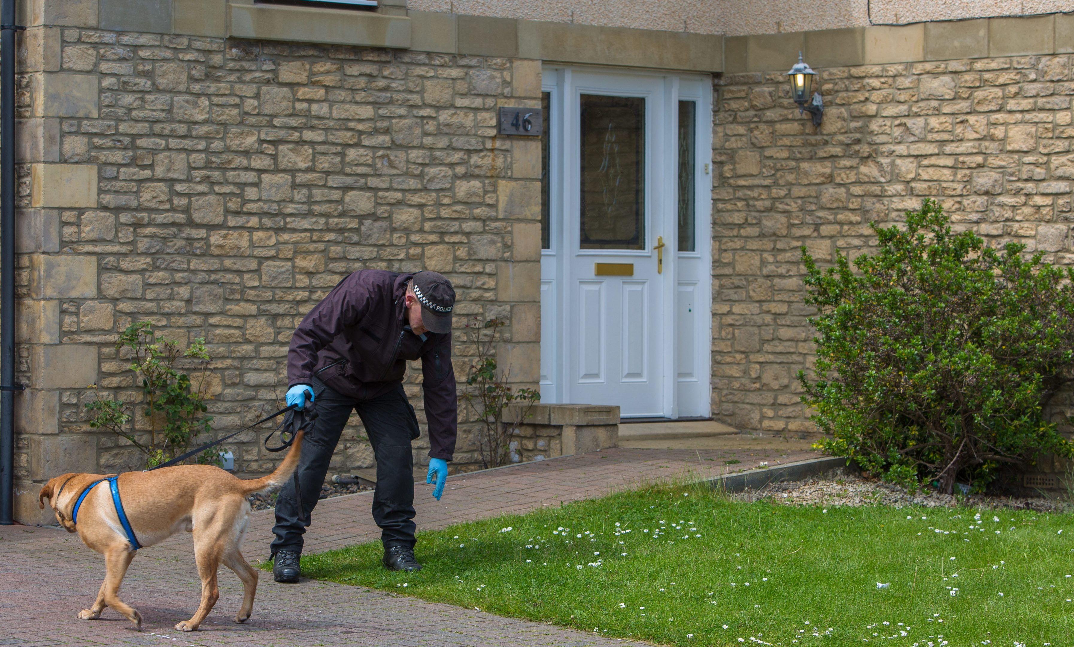 Bullet holes were visible in the front door of the property as the sniffer dog looks for clues in the garden.