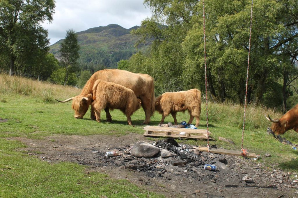 A fire pit at Loch Achray.