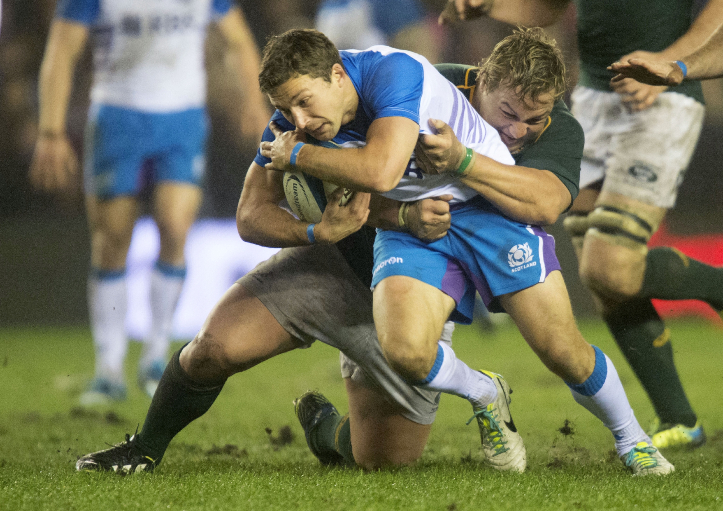 Chris Cusiter in typically combative action for Scotland against South Africa. Pic: SNS/SRU