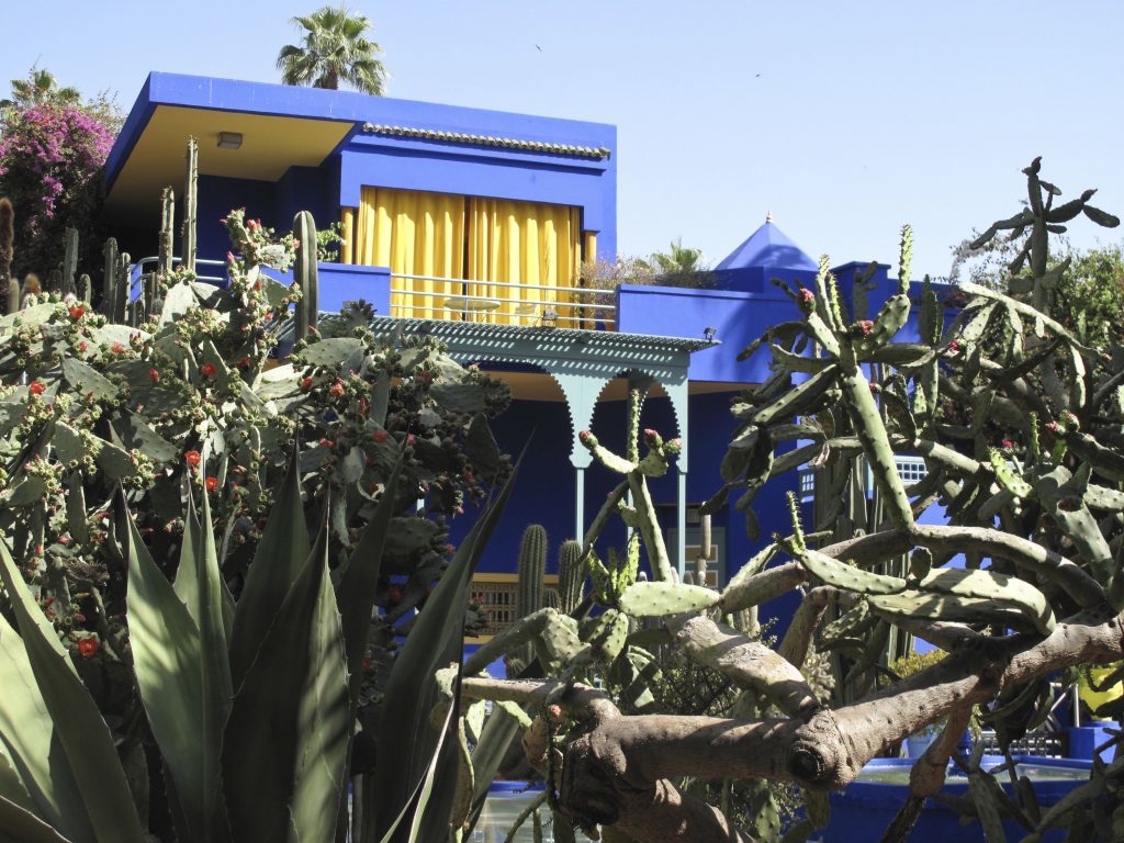 The Majorelle Gardens at the residence of Yves St Laurent in Marrakech.