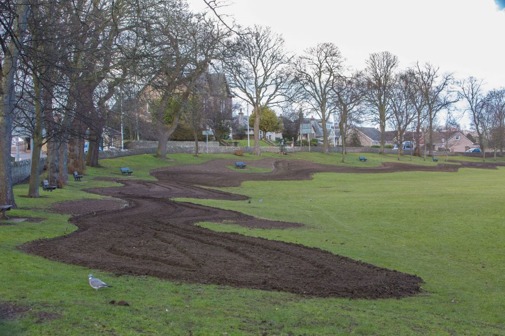 A section of Haugh Park in Cupar has been planted with wildflower seeds to help attract insects