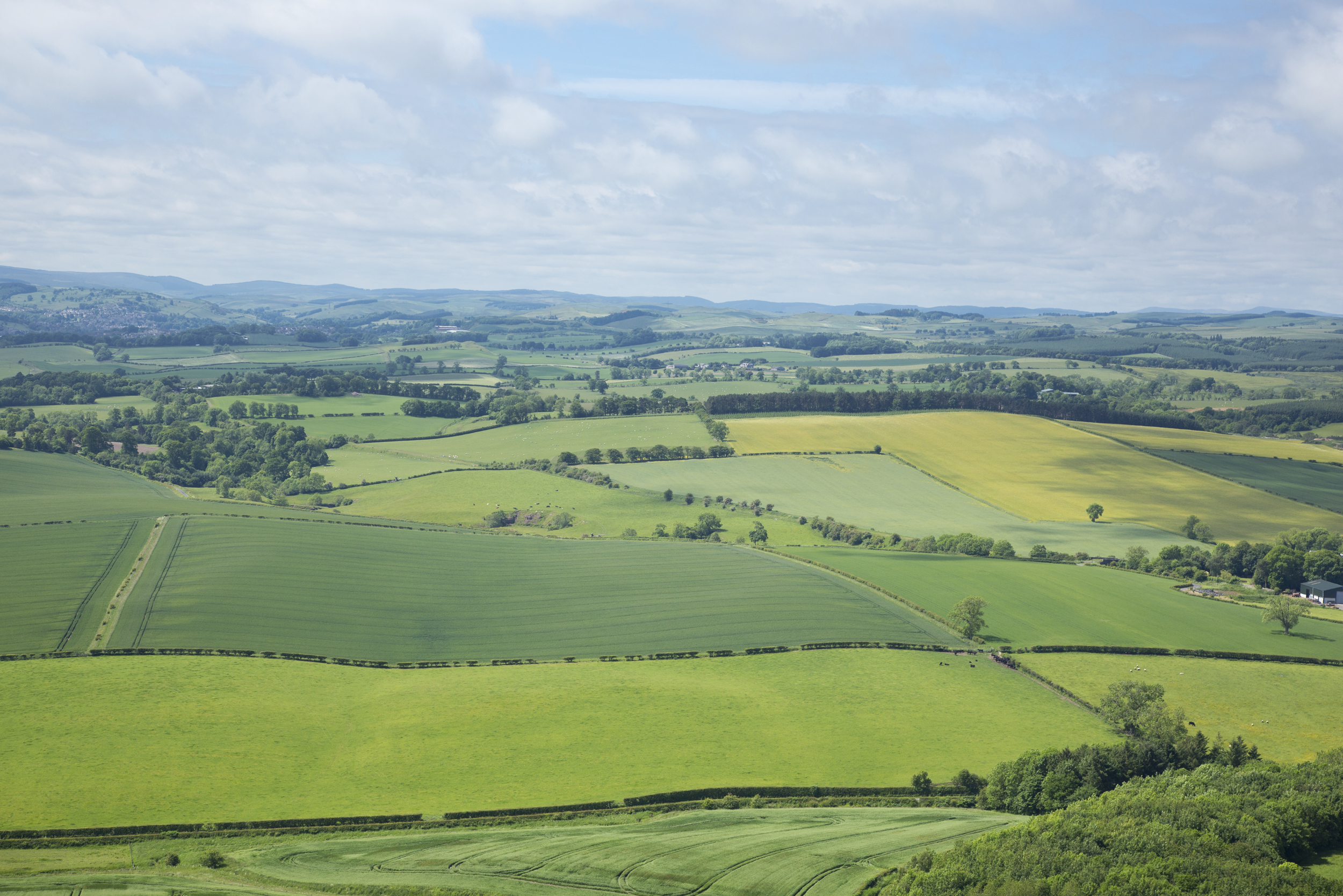 Collectively the organisations own and manage 500,000 hectares of land