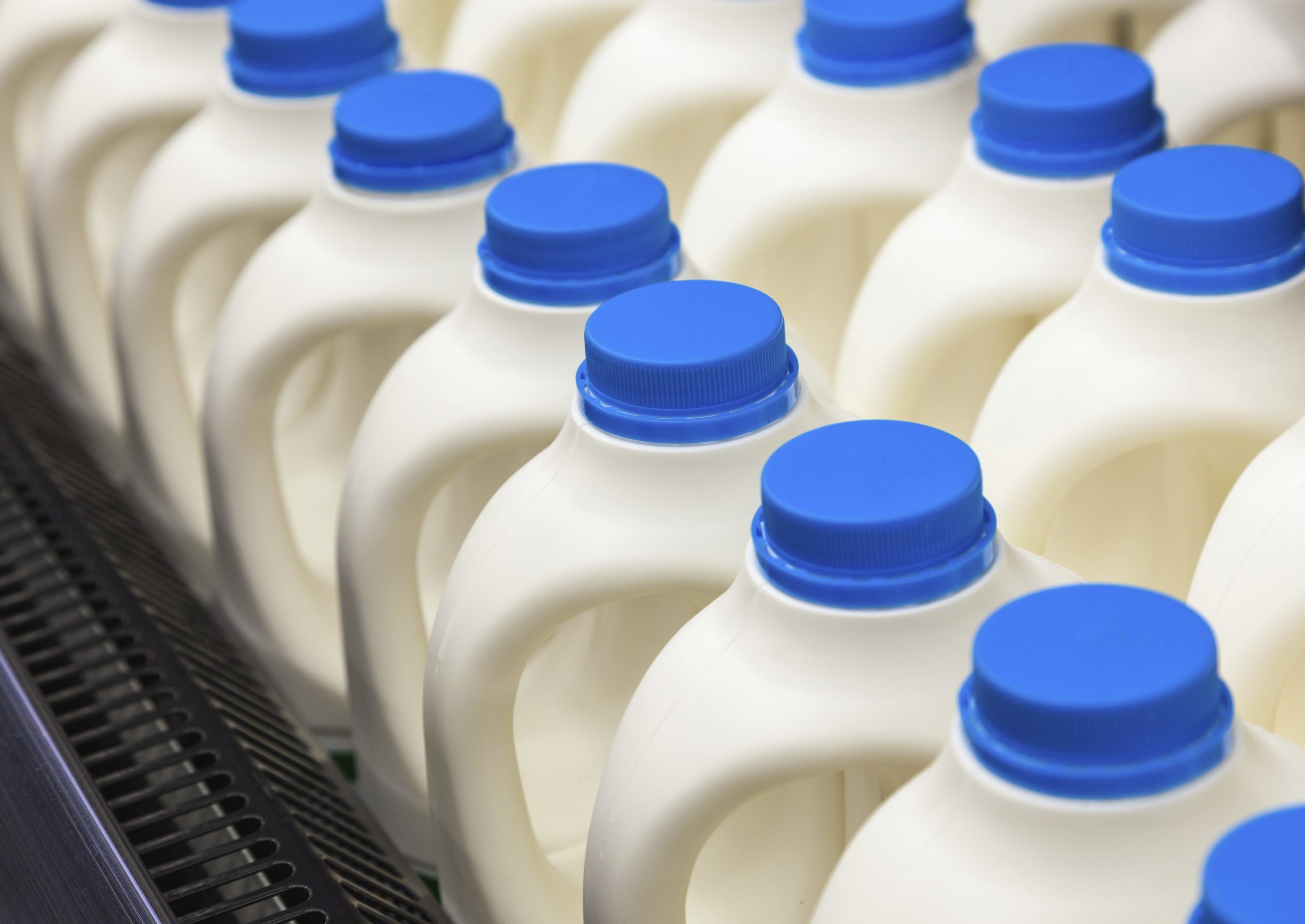 The transformation of the First Milk business is now complete