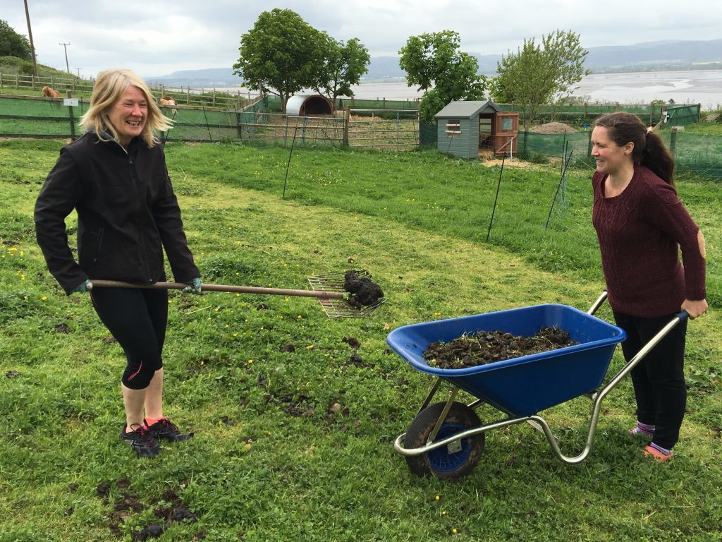 Volunteers get stuck in doing all kind of jobs - including the picking up of horse poo!