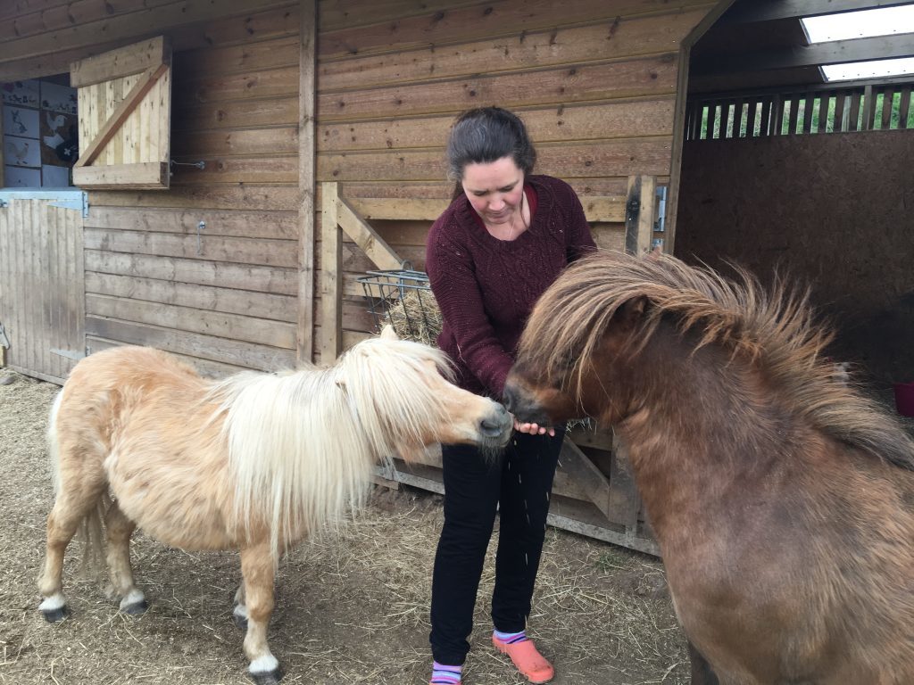 Karen Morrison feeds the ponies