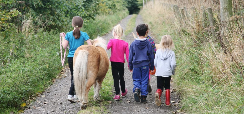 Children at STAR can spend time looking after the animals