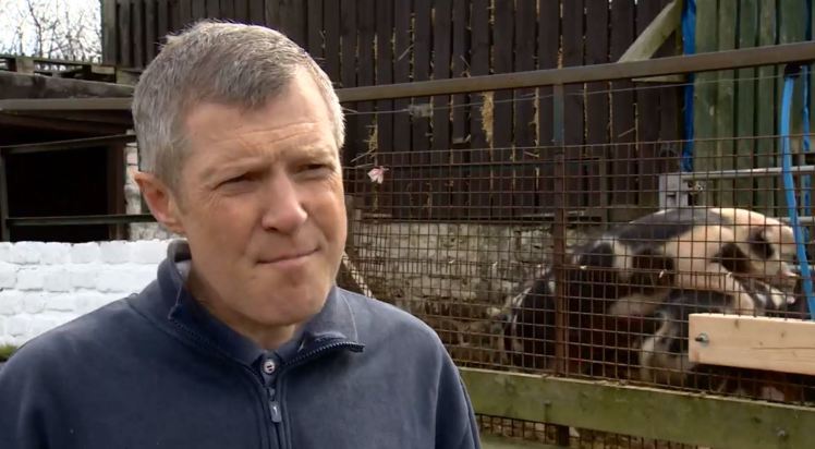 Willie Rennie - and the pigs - in action