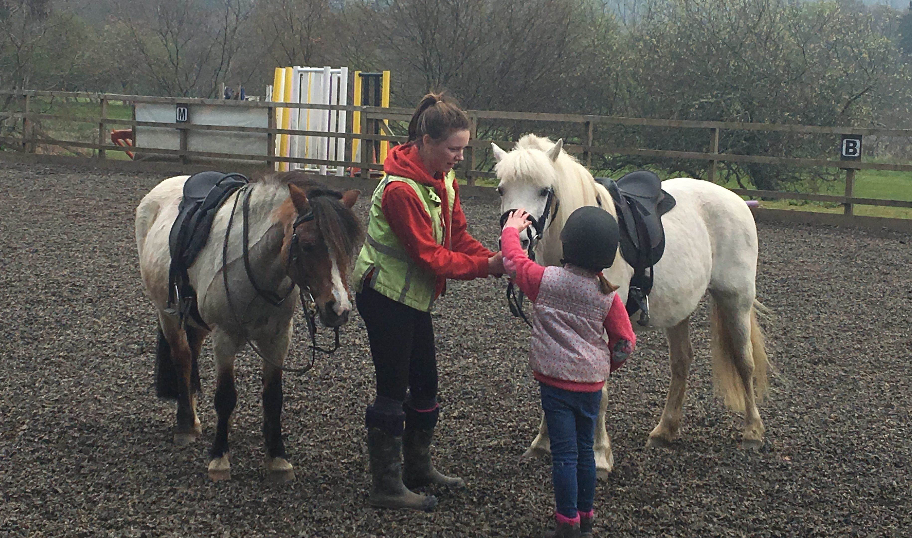 Introduced to Lucy at Mains of Taymouth Stables