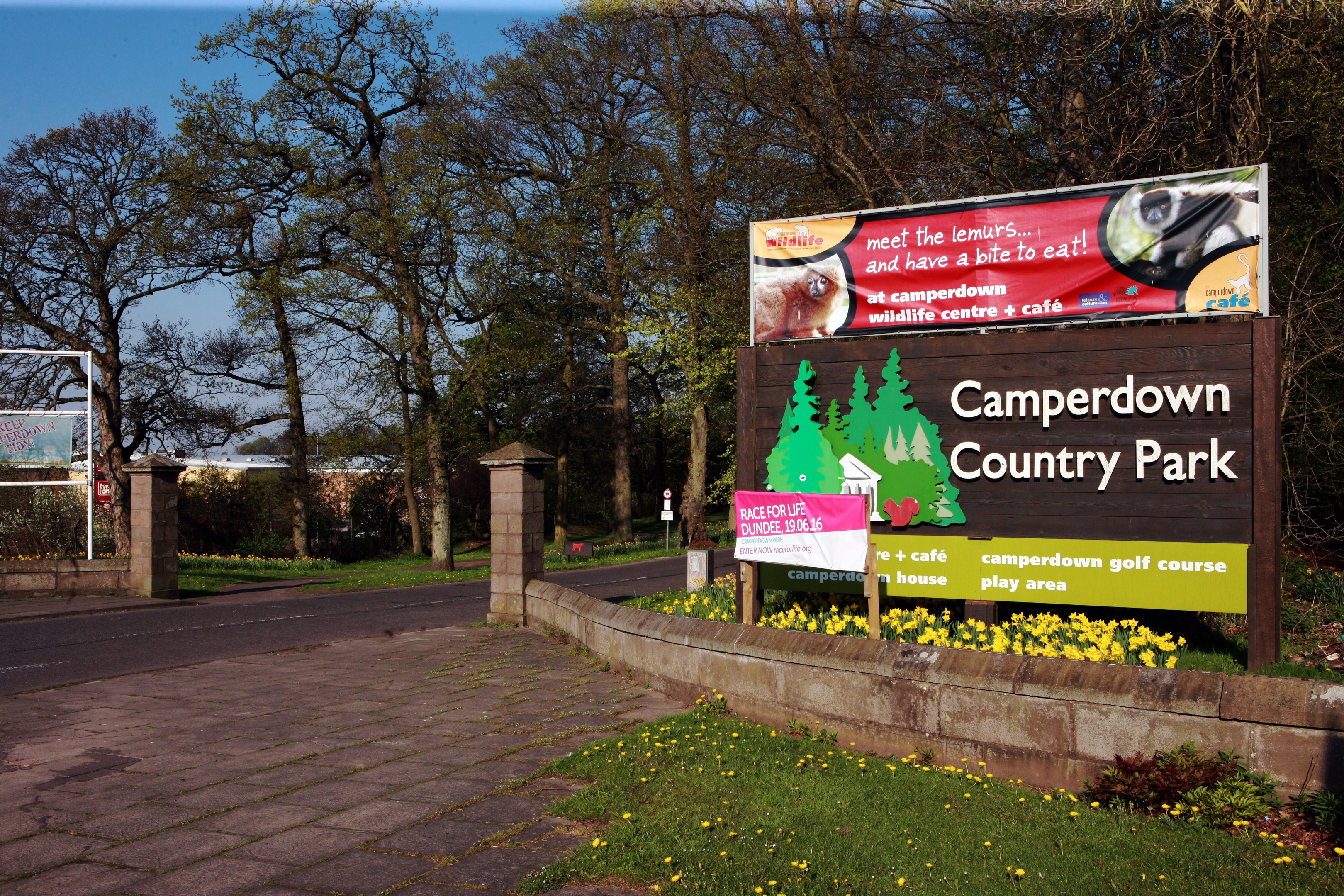 The red Ford Ka crashed in Camperdown Park on Wednesday night.