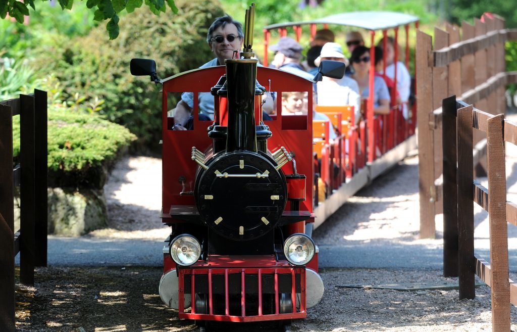 New Friends of Craigtoun Park volunteer Martin Dibbs is pictured driving the train at Craigtoun Country Park, St Andrews.