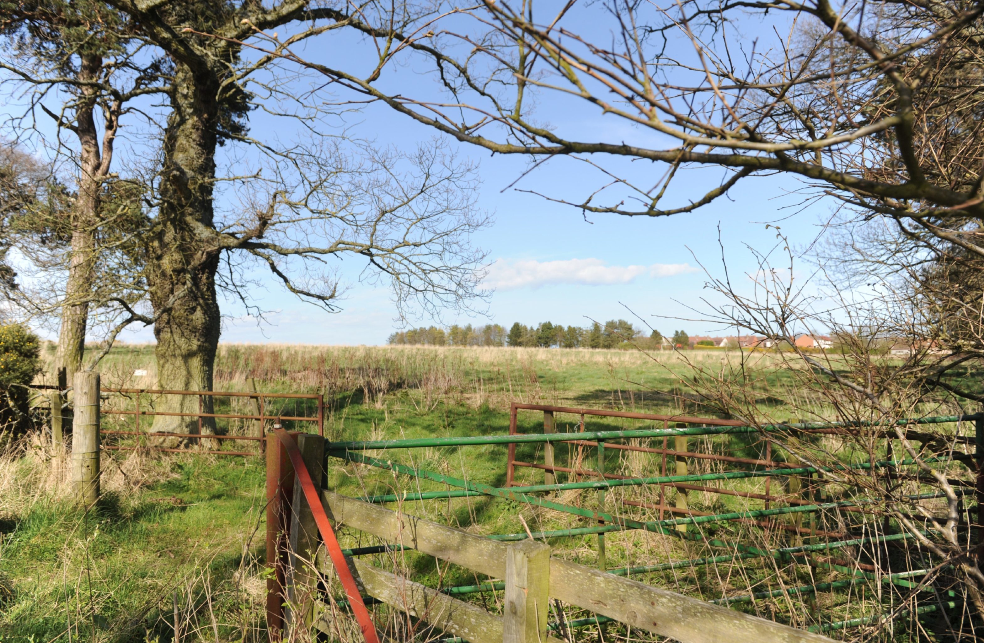 The Strathkinness field where the houses may be built.