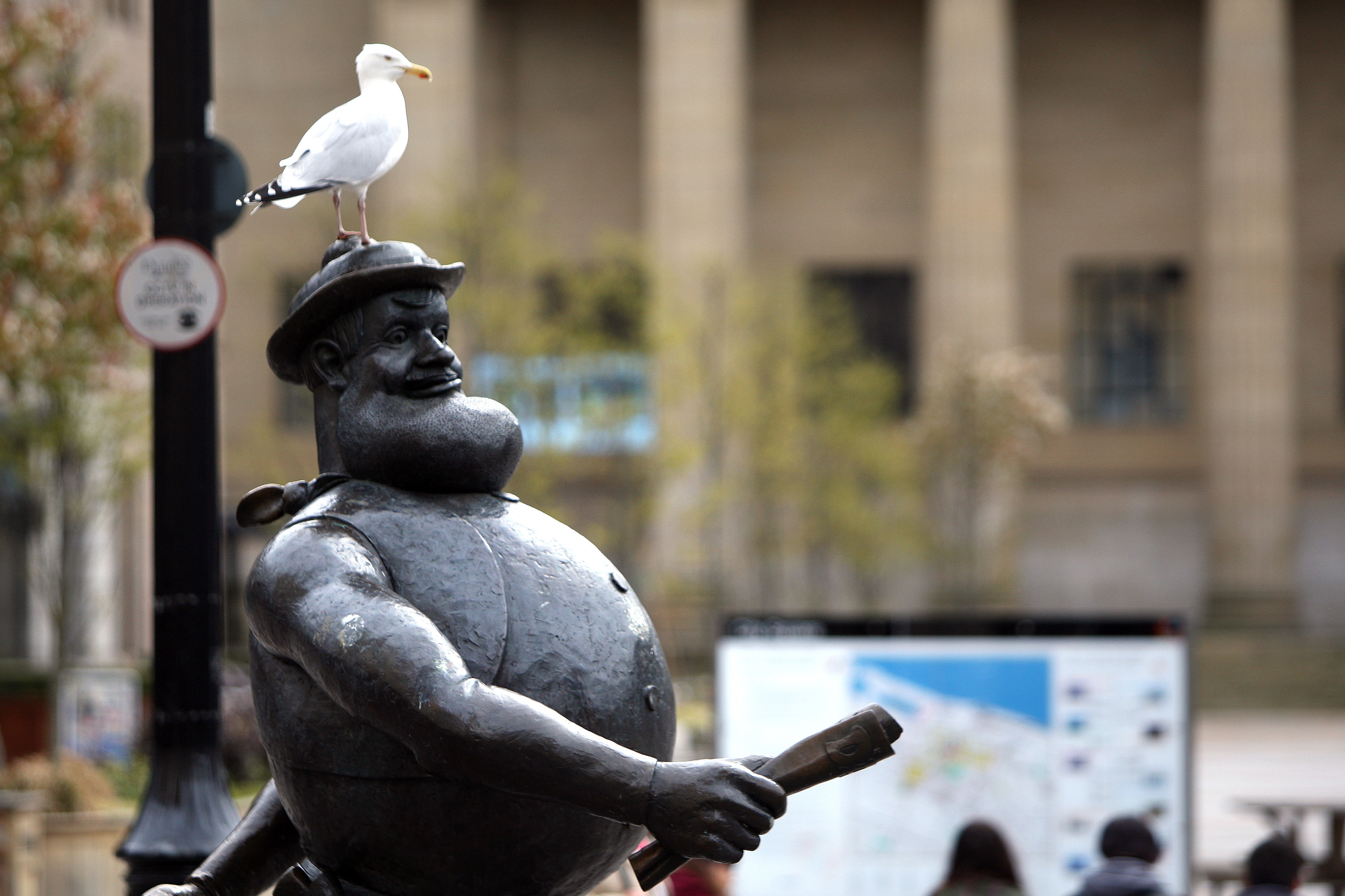 A gull perching on top of Desperate Dan.