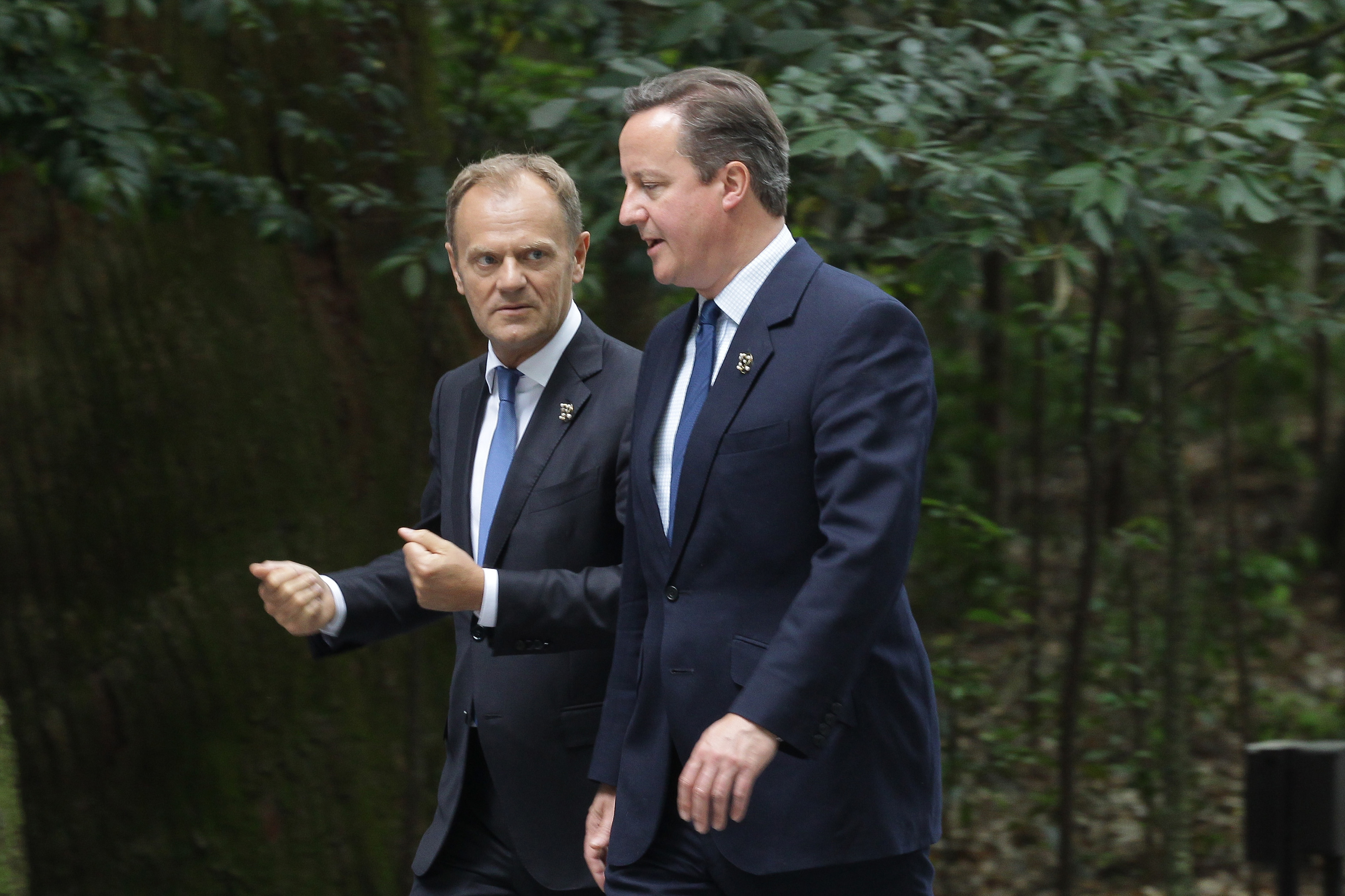 European Council President Donald Tusk talks with Prime Minister David Cameron.