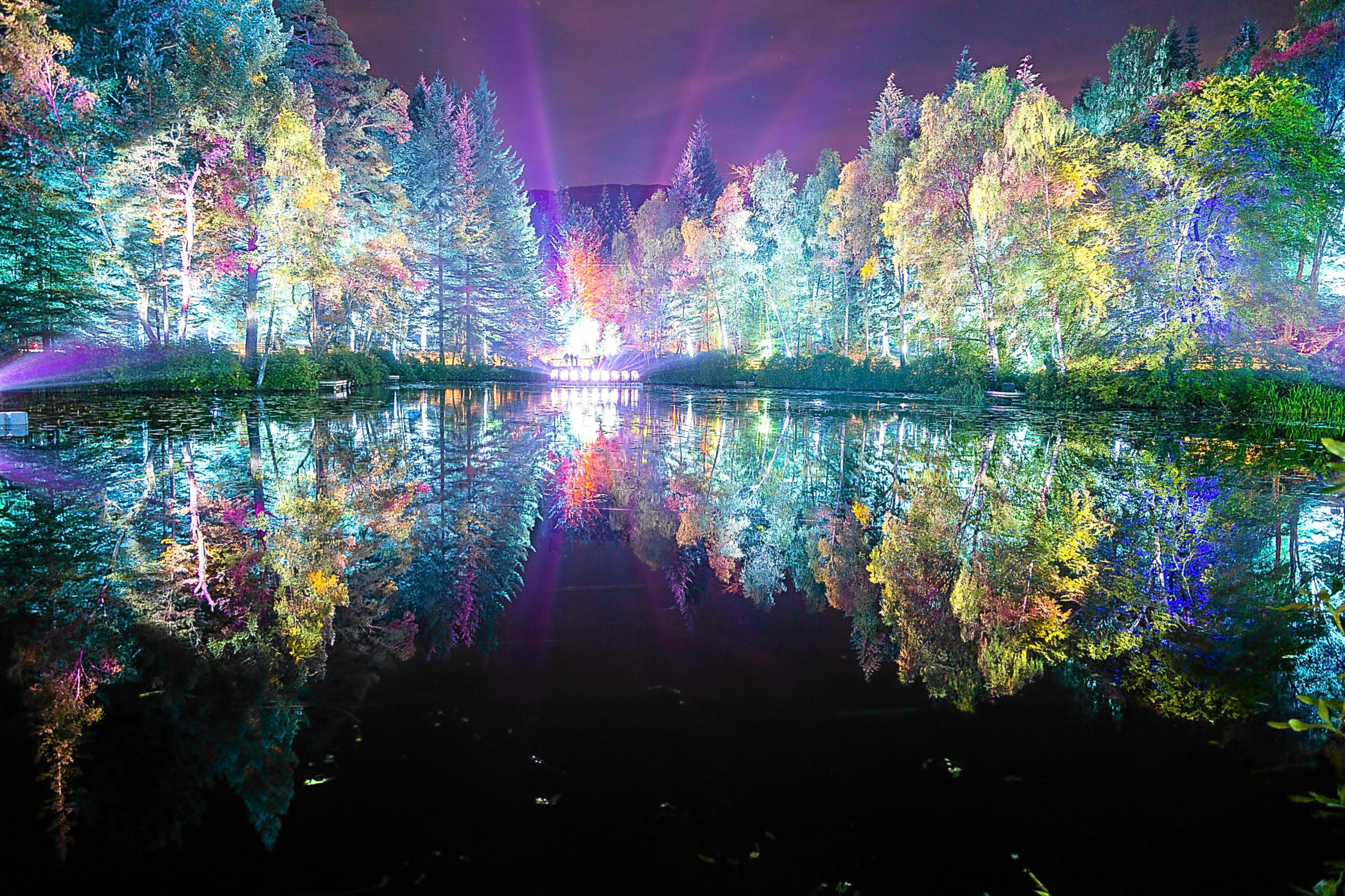 The Enchanted Forest has released 65,000 tickets for its 15th anniversary show.