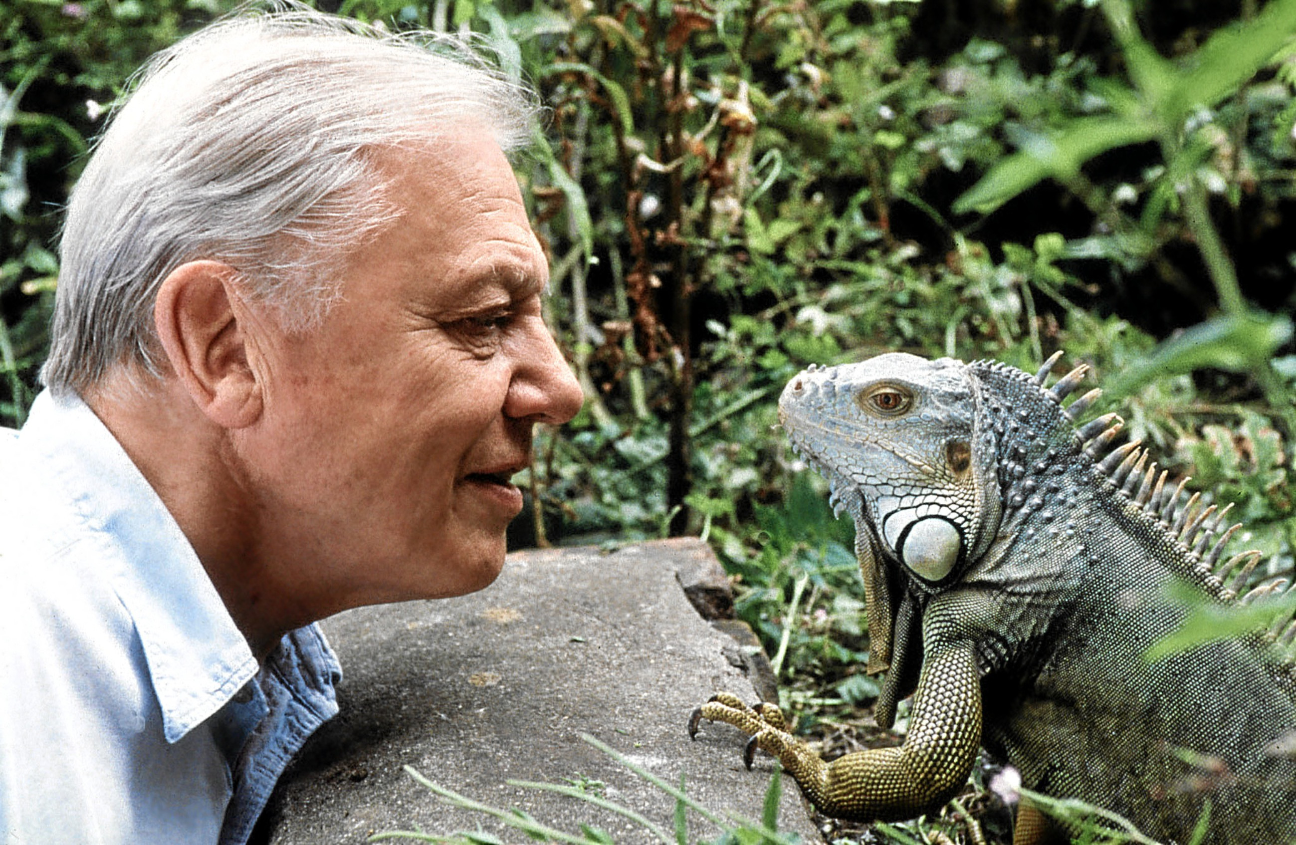 The Cairngorms Nature Young Presenter competition is hoping to find the next David Attenborough.