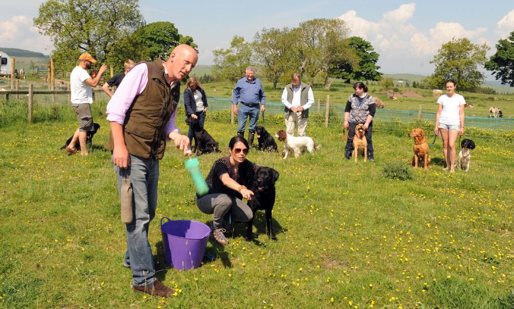 Gayle, Toby and dog trainer Charlie Thorburn are watched by other dogs and handlers including Kirsty McIntosh and Ruby, second from right.