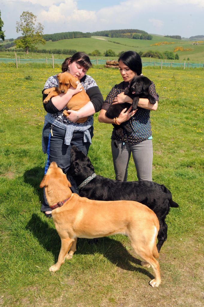 Ruby and Toby look on as Kirsty and Gayle hold pups Thunder and Lightning. (c) David Wardle