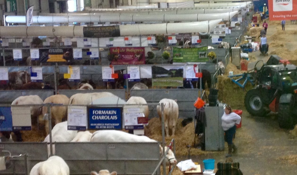 Farmers are starting to absorb the news at the Highland Show