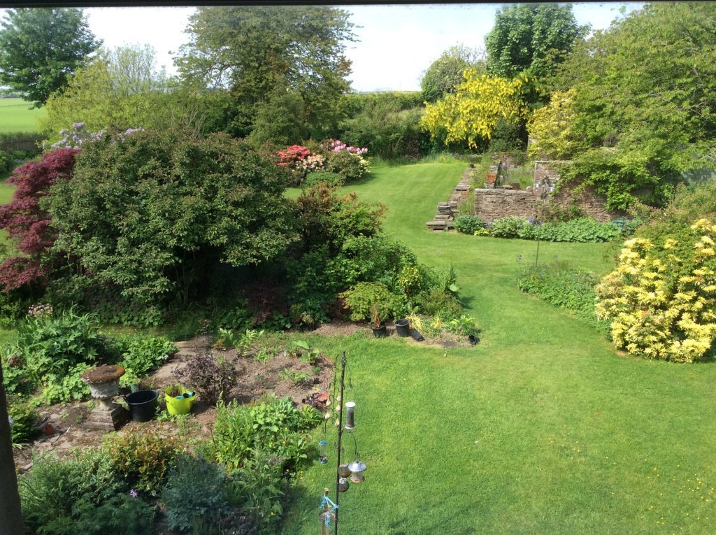 David Dunsmuir's garden in Letham, Angus.