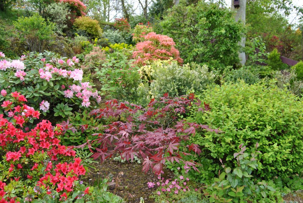 Linda Farrell's wonderful garden in Wormit, Fife.