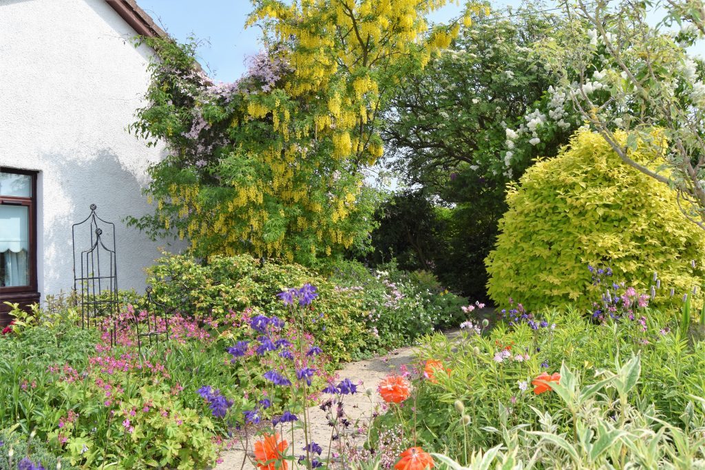 Marilyn Leven's glorious garden in Coaltown of Balgonie, Fife.