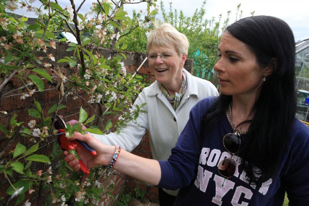 Dot Dahl shows Gayle Ritchie how to prune. 