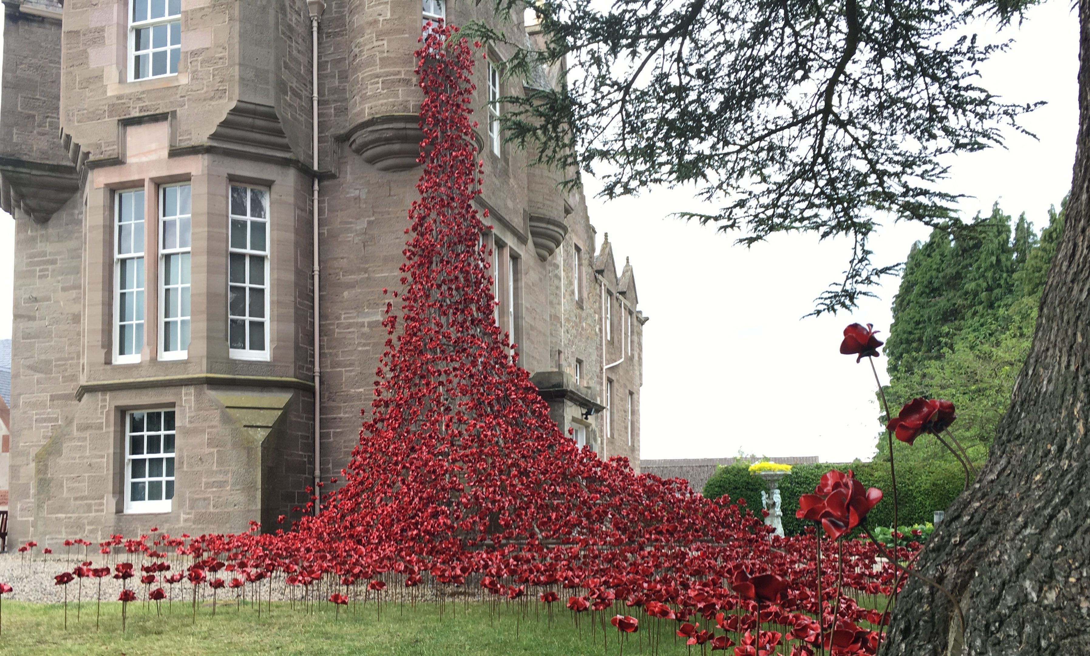 The poppies at Balhousie Castle. The one-off event contributed to a bumper year for tourism in Perth and Kinross.