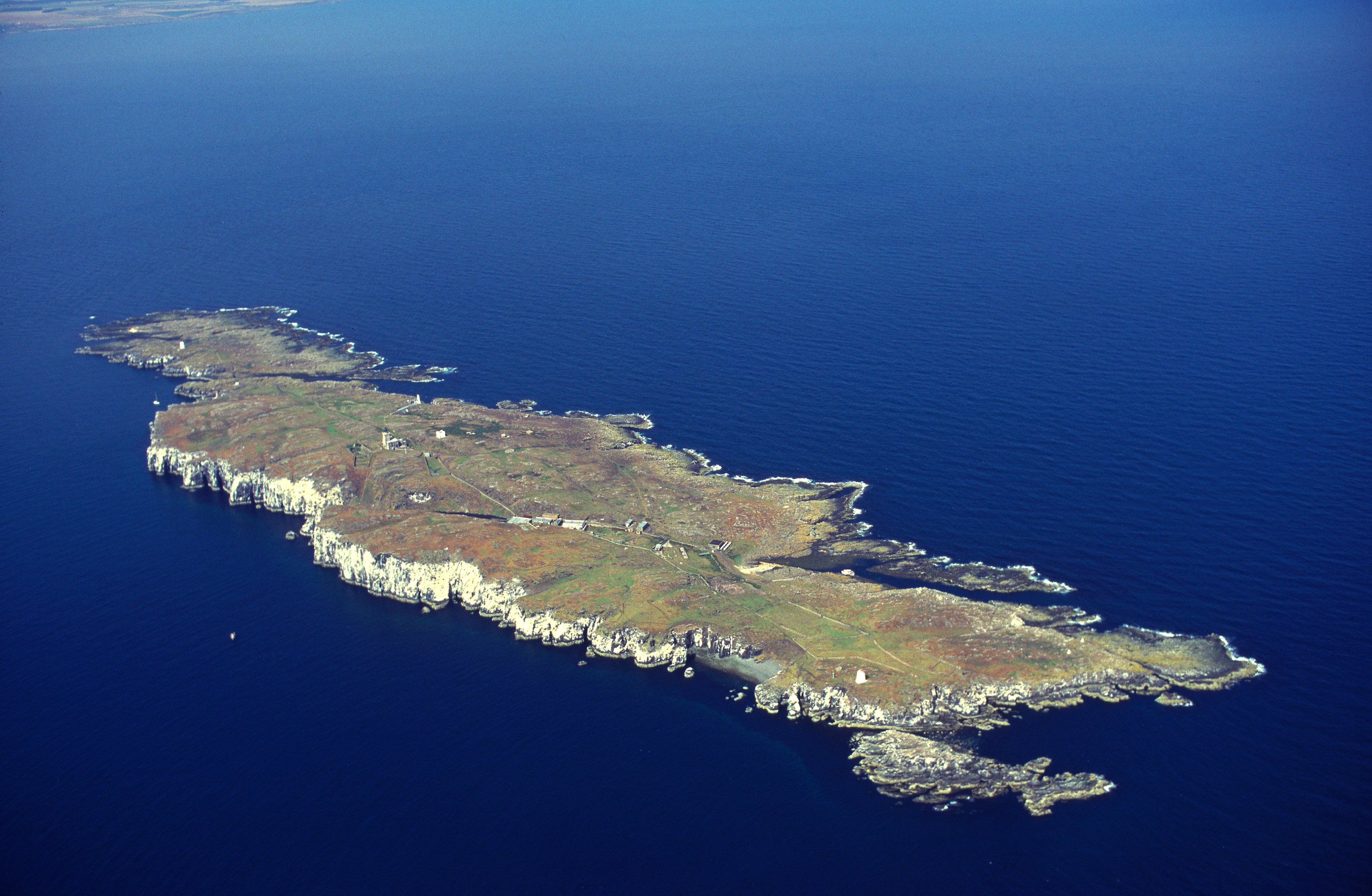 The Isle of May will reopen to the public. Image: Patricia and Angus Macdonald/ NatureScot