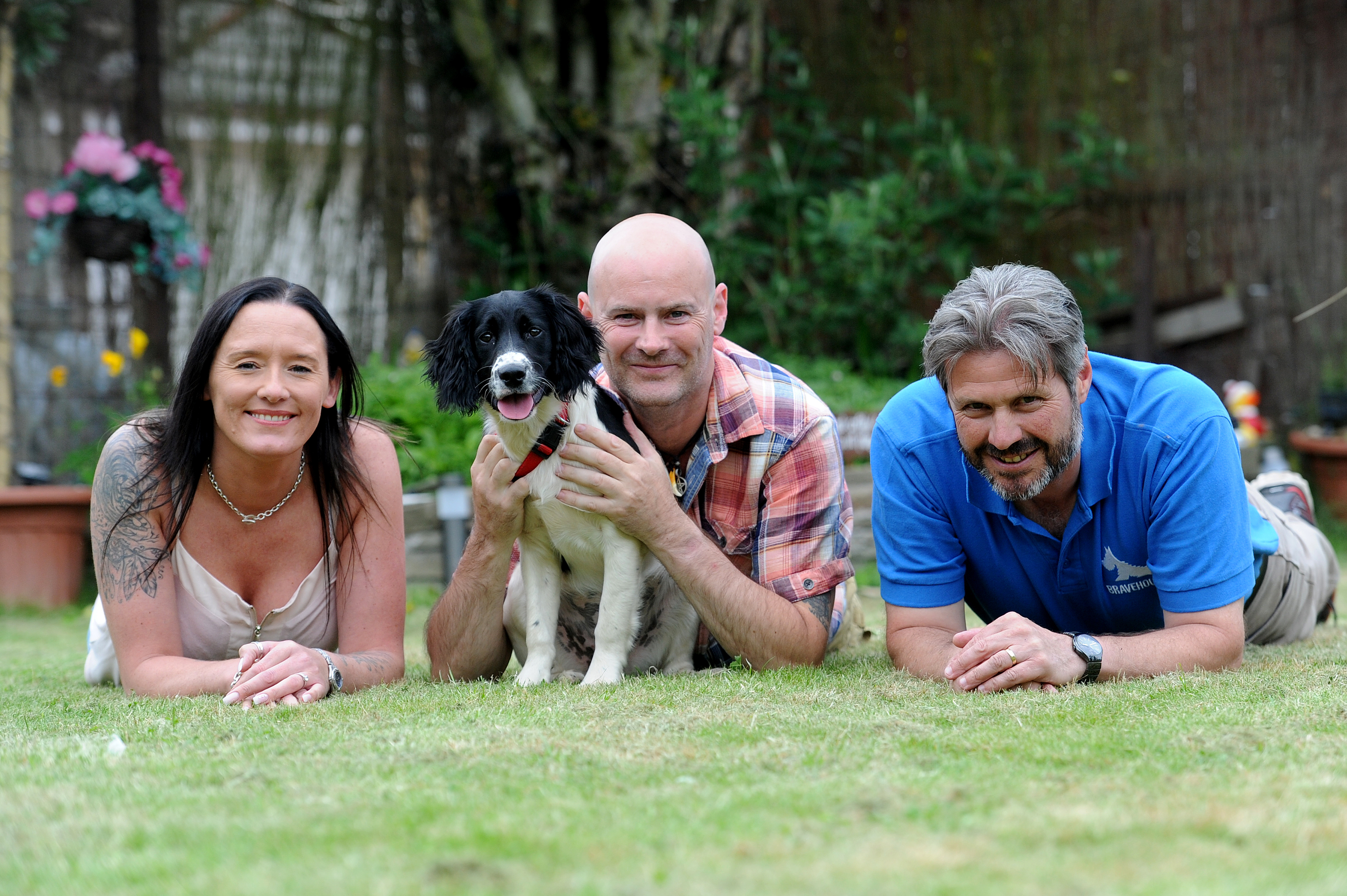 Irma is the first dog to be donated as part of the Bravehound charity. Left to right - Lorraine Stewart (breeder and puppy trainer), Irma the springer spaniel , army veteran Paul Wilkie and Chris Reid of Bravehound