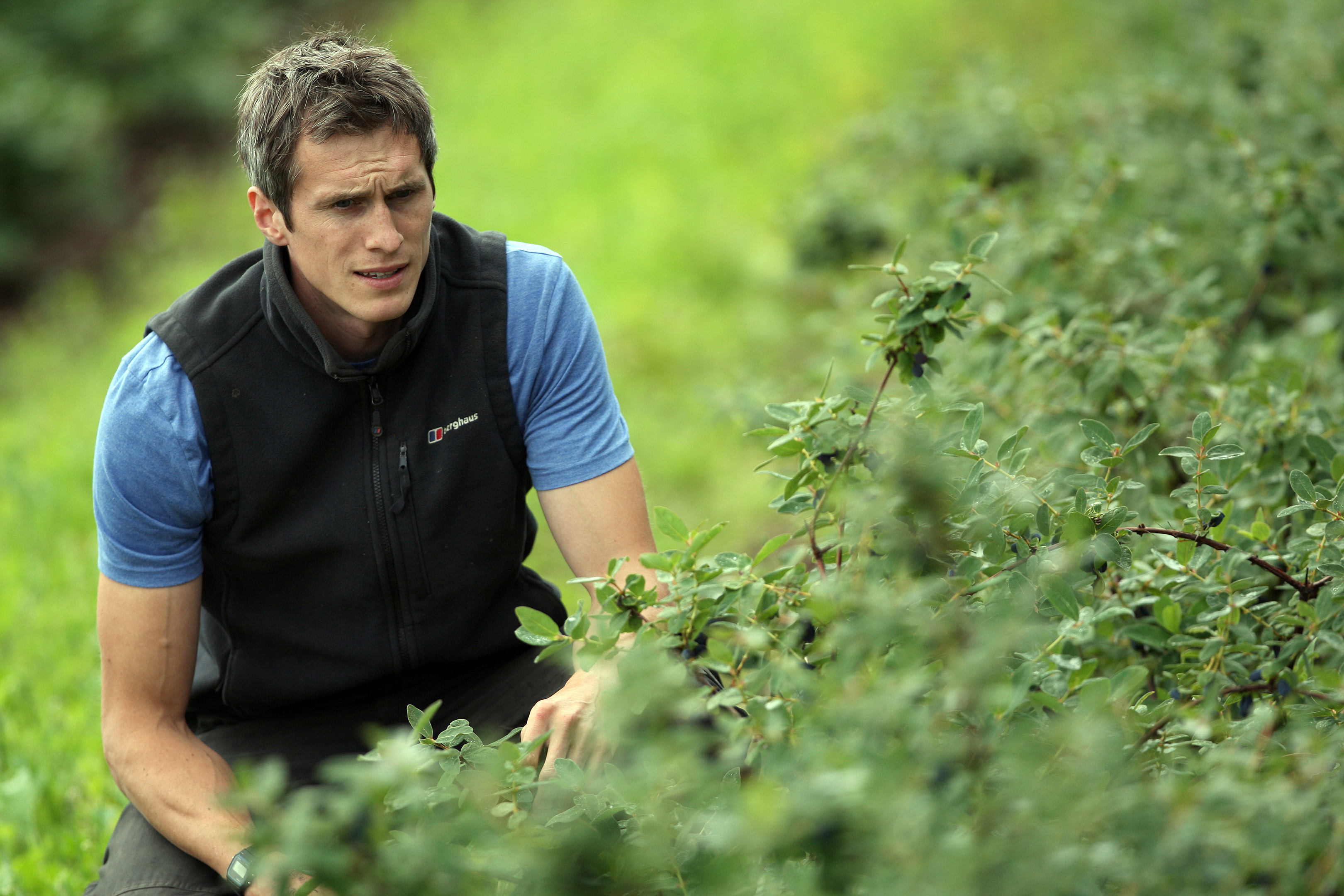 Growers are looking for new berries to meet a growing demand for soft fruit