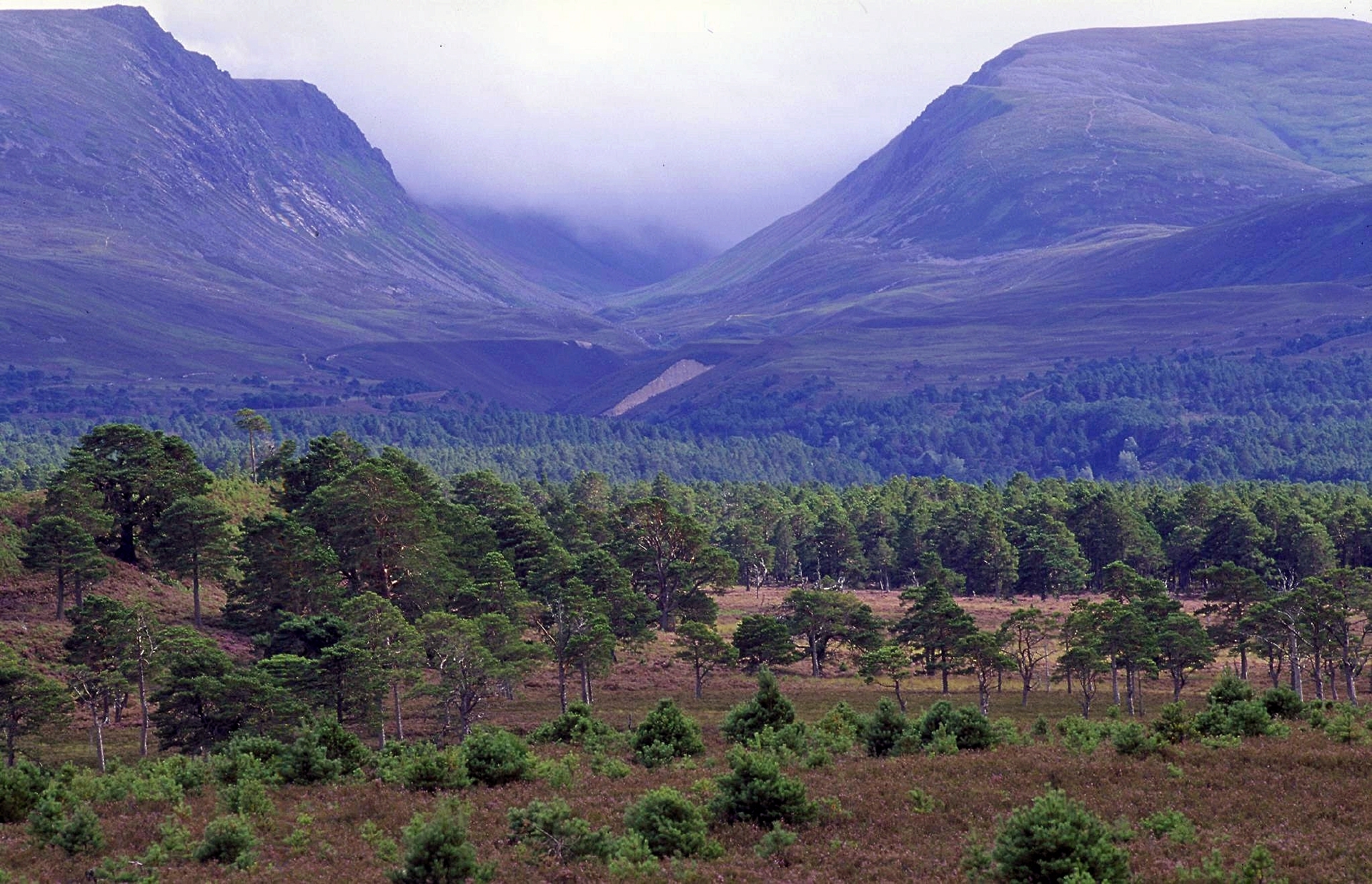 The Cairngorms.