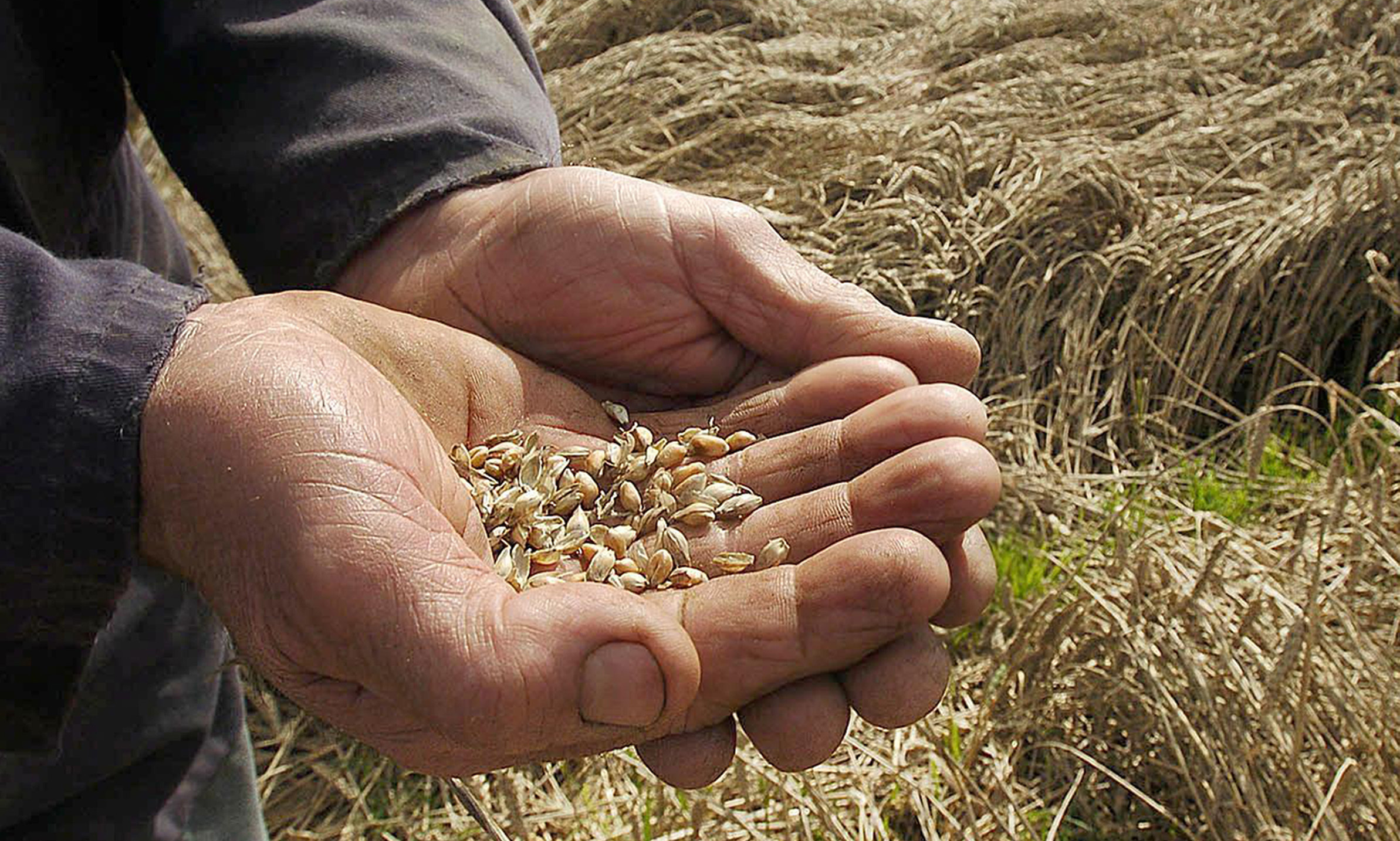 Growers are advised to compare ex-farm prices with futures prices