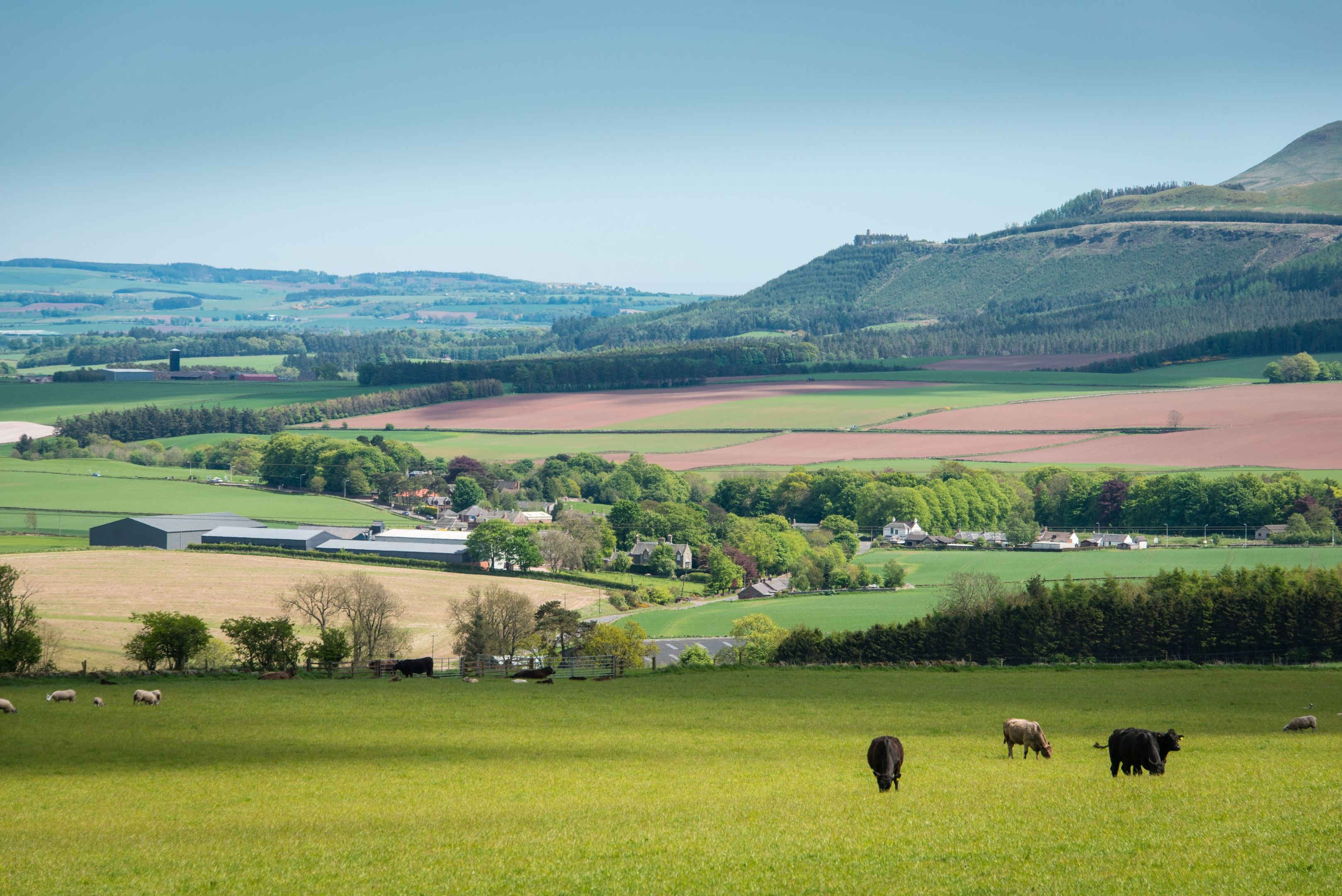 Post-Brexit funding presents ‘a challenge but also opportunity’ for farming